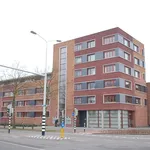 Huur 2 slaapkamer appartement van 65 m² in Breda