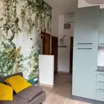 Rent 3 bedroom apartment of 75 m² in Bologna