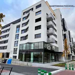 Pronajměte si 2 ložnic/e byt o rozloze 53 m² v Prague