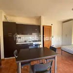 Rent 1 bedroom apartment of 40 m² in Mondovì