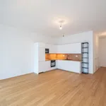 Rent 3 bedroom house of 101 m² in Vienna