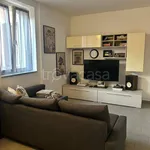 Rent 2 bedroom apartment of 50 m² in Codogno