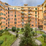 Rent 1 bedroom apartment in Roma