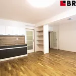 Rent 1 bedroom apartment in Brno