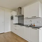 Huur 2 slaapkamer appartement van 57 m² in Centrumschil-Zuid