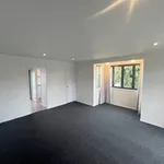 Rent 4 bedroom house in auckland