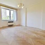 Rent 1 bedroom apartment in Brno