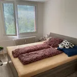 Rent 2 bedroom apartment in Příbram