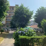 Rent 2 bedroom apartment of 50 m² in Moncalieri