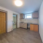 Rent 1 bedroom apartment of 20 m² in Bolatice