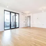 Rent 1 bedroom apartment of 276 m² in Zagreb