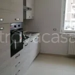 Rent 3 bedroom apartment of 100 m² in Curti