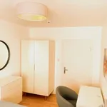 Rent 3 bedroom apartment of 100 m² in frankfurt