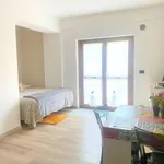 Rent 1 bedroom apartment of 30 m² in L'Aquila