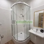 Rent 1 bedroom apartment in České Budějovice