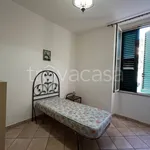 Rent 3 bedroom apartment of 50 m² in Messina