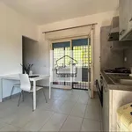 Rent 2 bedroom apartment of 40 m² in Roma