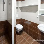 Rent 1 bedroom apartment in Brno