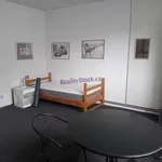 Rent 2 bedroom apartment of 25 m² in Radotín