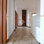 Rent 4 bedroom apartment of 130 m² in Pescara