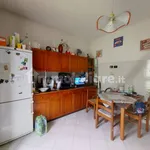 Rent 4 bedroom apartment of 90 m² in Bologna