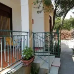 Rent 3 bedroom apartment of 100 m² in Castelvetrano