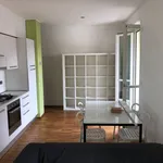 Rent 1 bedroom apartment of 45 m² in Turin