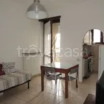 Rent 2 bedroom apartment of 50 m² in Torino