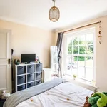 Rent 1 bedroom apartment in Chichester