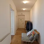 Rent 4 bedroom apartment of 108 m² in Brno