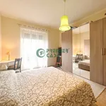 Rent 3 bedroom apartment of 60 m² in Turin