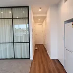 Rent 1 bedroom apartment in Albert-Eden