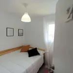 Rent a room in granada