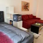 Miete 1 Schlafzimmer wohnung von 37 m² in Nuremberg