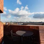 Rent 1 bedroom apartment in london