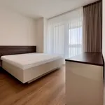 Rent 6 bedroom apartment in Capital City of Prague