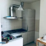 Rent 4 bedroom apartment of 101 m² in Florence