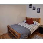 Rent 1 bedroom apartment in Dublin