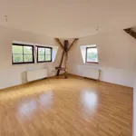 Miete 3 Schlafzimmer wohnung von 75 m² in Reichenbach