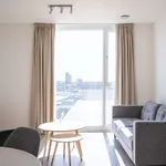 Rent 1 bedroom apartment in Leicester