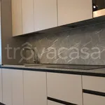 Rent 2 bedroom apartment of 55 m² in Torino