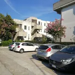 Rent 1 bedroom apartment of 100 m² in Giulianova