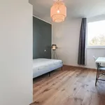 Rent a room in berlin