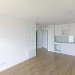 Rent 1 bedroom apartment of 41 m² in Porto