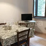 Rent 2 bedroom apartment of 40 m² in Rosignano Marittimo