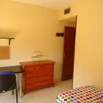 Rent a room in cordoba