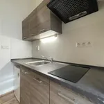 Rent 1 bedroom apartment in Brno