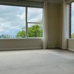 Rent 2 bedroom apartment in Auckland