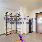  appartement avec 1 chambre(s) en location à Annecy