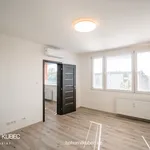 Rent 2 bedroom apartment in Sezimovo Ústí